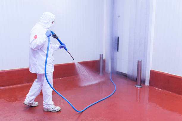 Best Heavy Equipment Washing  in Paisley, FL