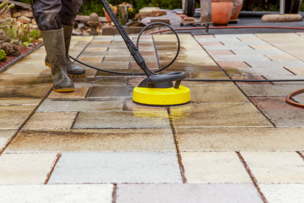 Best Driveway Pressure Washing  in Paisley, FL